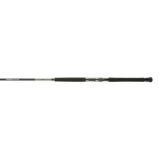 Shimano TEREZ BW BFC SPIN, Offshore, 80, Medi...