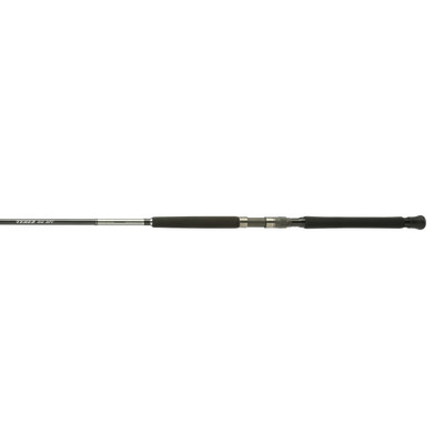 Shimano TEREZ BW BFC SPIN, Offshore, 8'0'', Medium, 1 pcs, (TZBFCS80MA) Fishing