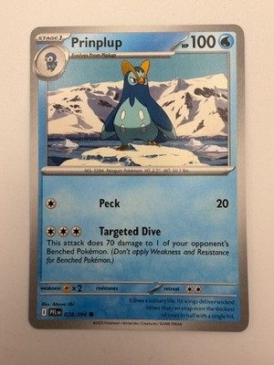 #028/094 Prinplup Normal Common - Pokémon Phantasmal Flames English NM