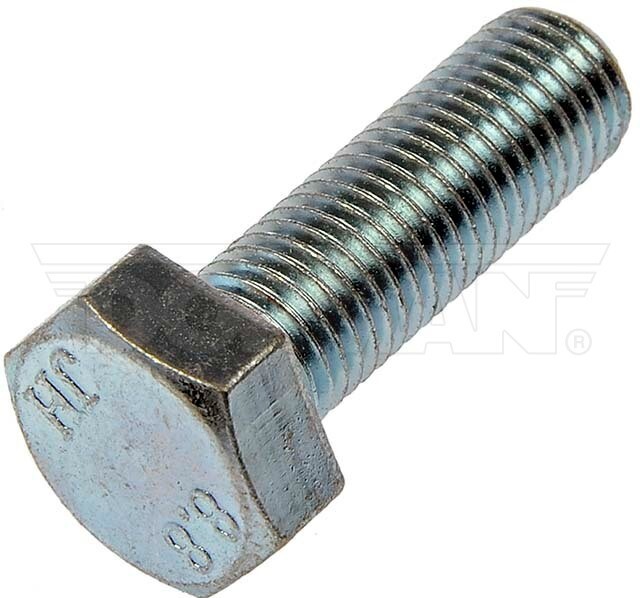 Picture 1