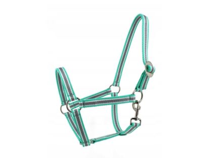 Mustang Halfter Pferdehalfter Horse Nylonhalfter für Cob Full Mintgrau