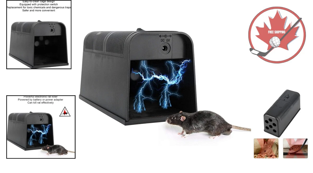 Best electronic on sale mouse trap