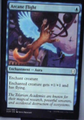 Arcane Flight - Dominaria: #43, Magic: The Gathering Nm R166