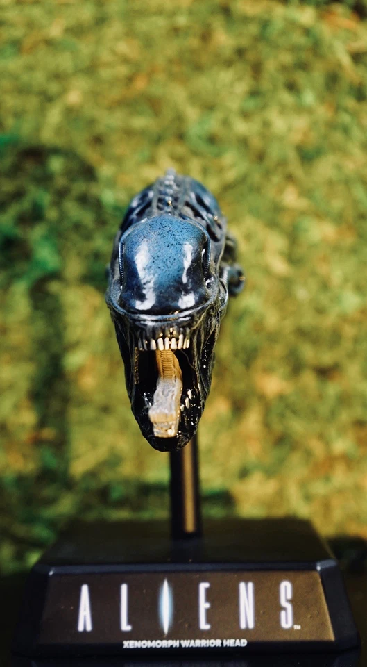 Cabeza réplica Eaglemoss Limited Eaglemoss Aliens Xenomorph Warrior Foto 2 de 3
