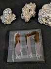 Lot of 3  Sterling Silver .925 & Fine .999 Silver Nugget Ingots 172g! Scrap Melt — photo 3