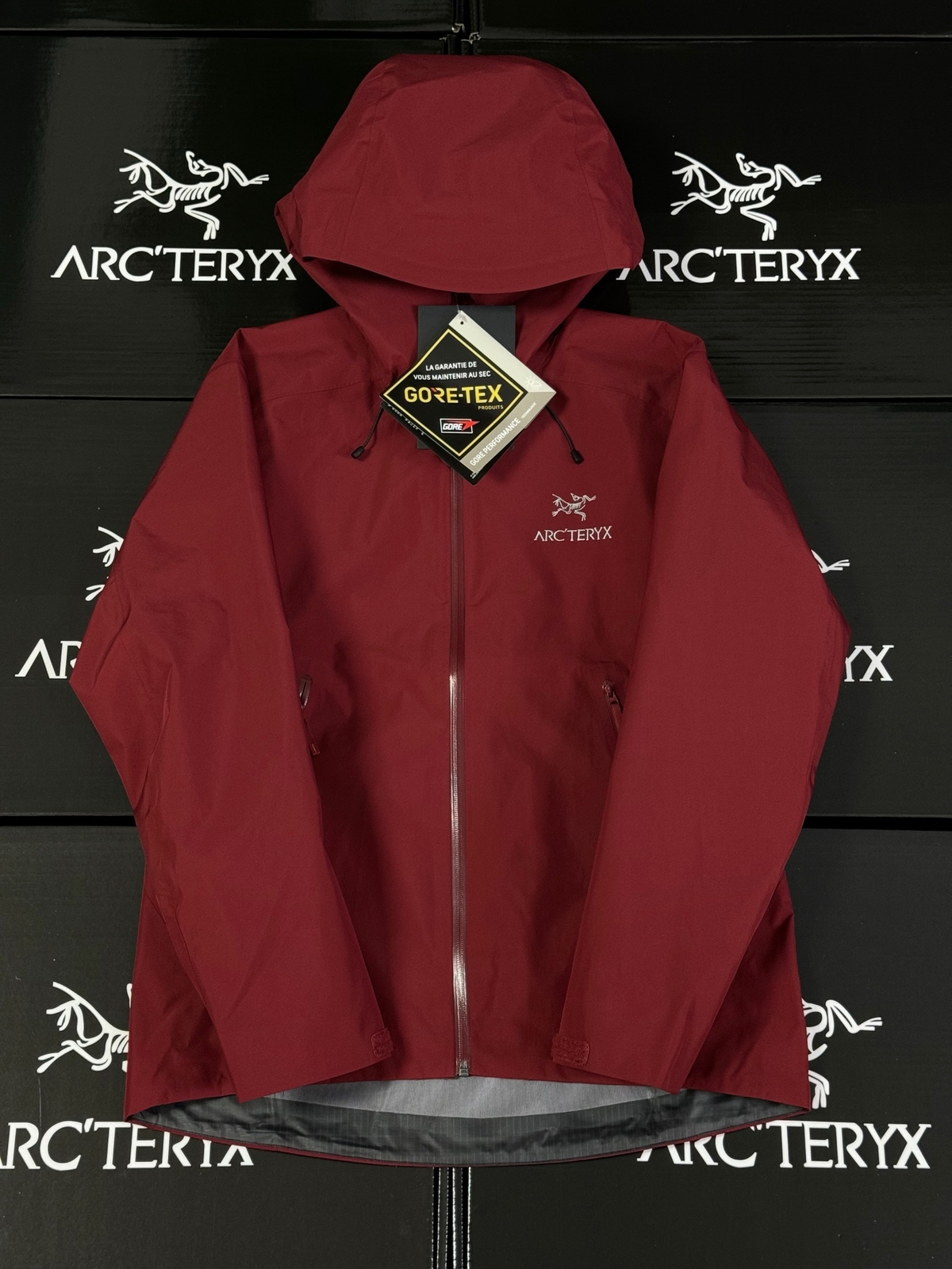 **Arc'teryx Beta LT Gore Tex Giacca Retrò Giacca Semplice Outdoor Sportwear