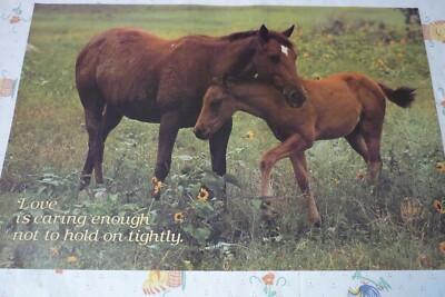 1980 VINTAGE NOS ARGUS POSTER  21'' X 14''   HORSES MOTIVATIONAL  CARING 