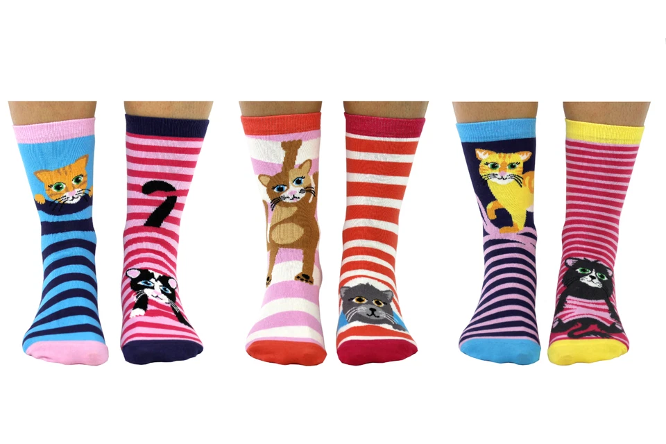 UNITED ODSOCKS FELINO BUENOS SEIS GATOS CALCETINES IMPARES PARA DAMAS REINO UNIDO 4 - 8 IDEA DE REGALO DE NAVIDAD Foto 3 de 3
