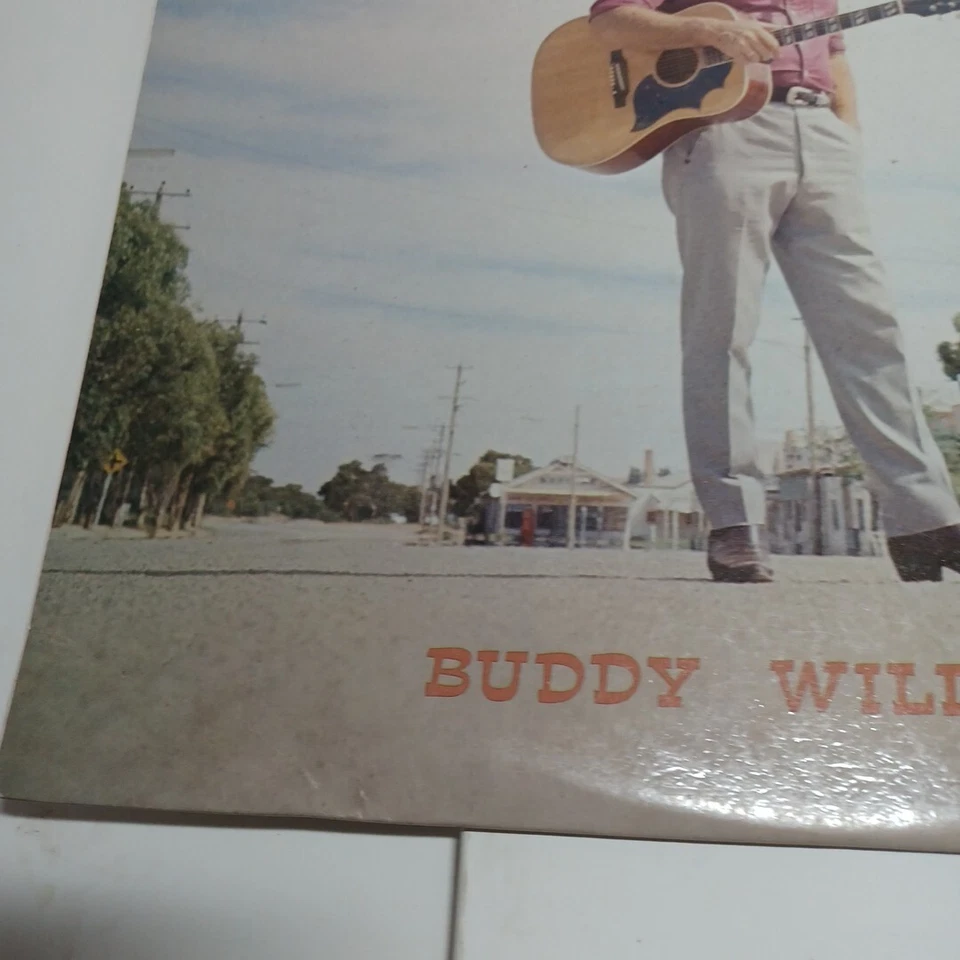 BUDDY WILLIAMS - COUNTRY TOUCH RARE VINTAGE 33. RPM VINYL LP RECORD  NM Vinyl - Image 3 of 4