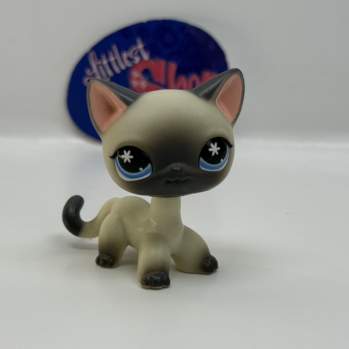 SIAMESE SHORTHAIR CAT #G7 #173 - Authentic Littlest Pet Shop