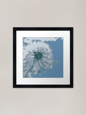Dandelion flower illustration Frame Framed Wall Art Poster Canvas Print Picture