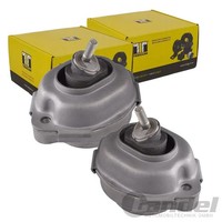 2X Tedgum Motorlager Lagerung Motor Beidseitig Passend FüR BMW X5 E53 3.0 D