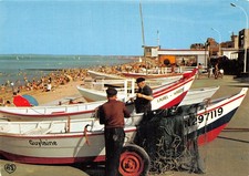 14 LÖWE AM MEER DER STRAND LA VIGIE ET LES DORIS