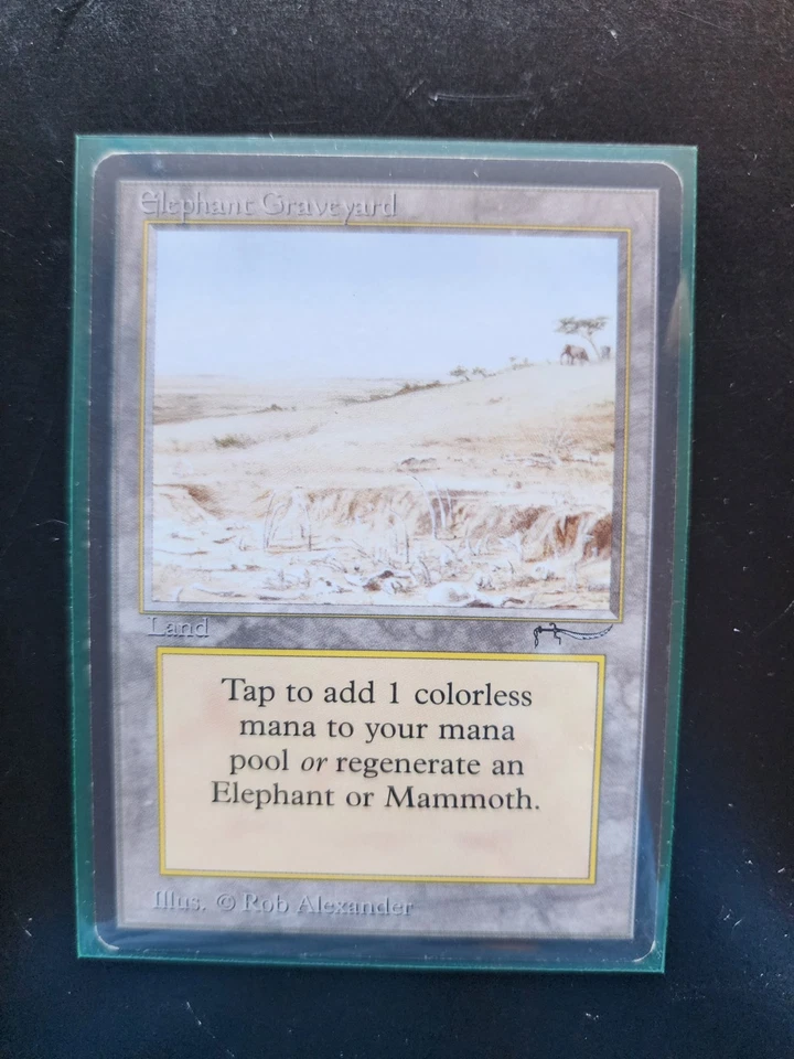 Elephant Graveyard Magic: The Gathering MTG  x1 Arabian Nights Lightly Played - Image 3 of 3