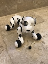 zoomer dalmation