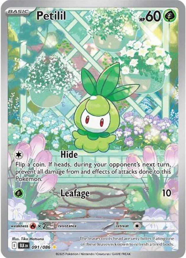 Pokemon Petilil (91/329) Black Bolt NM HOLO