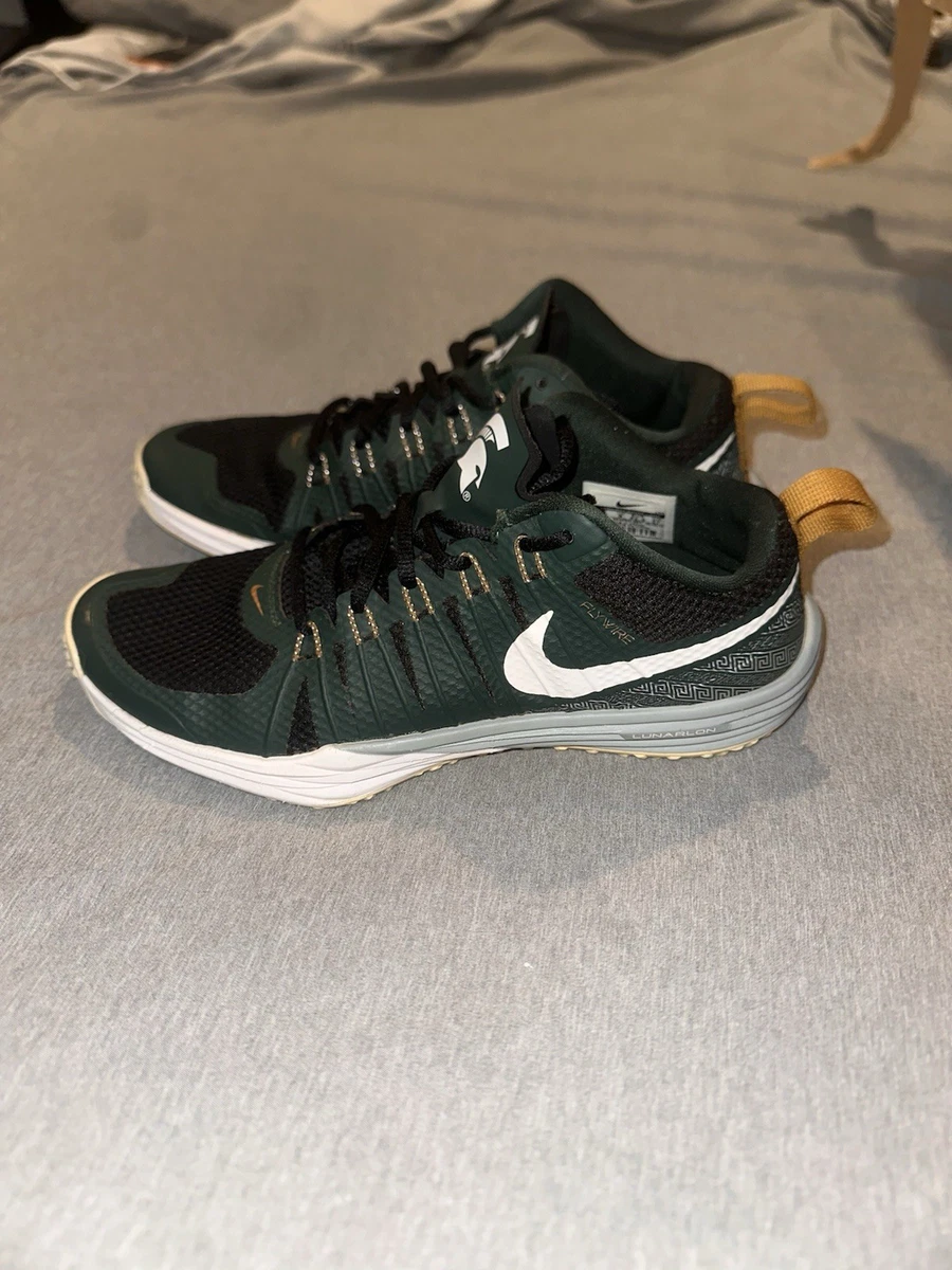 Nike Lunar TR1 LE Michigan State for Sale | Authenticity  display picture 2