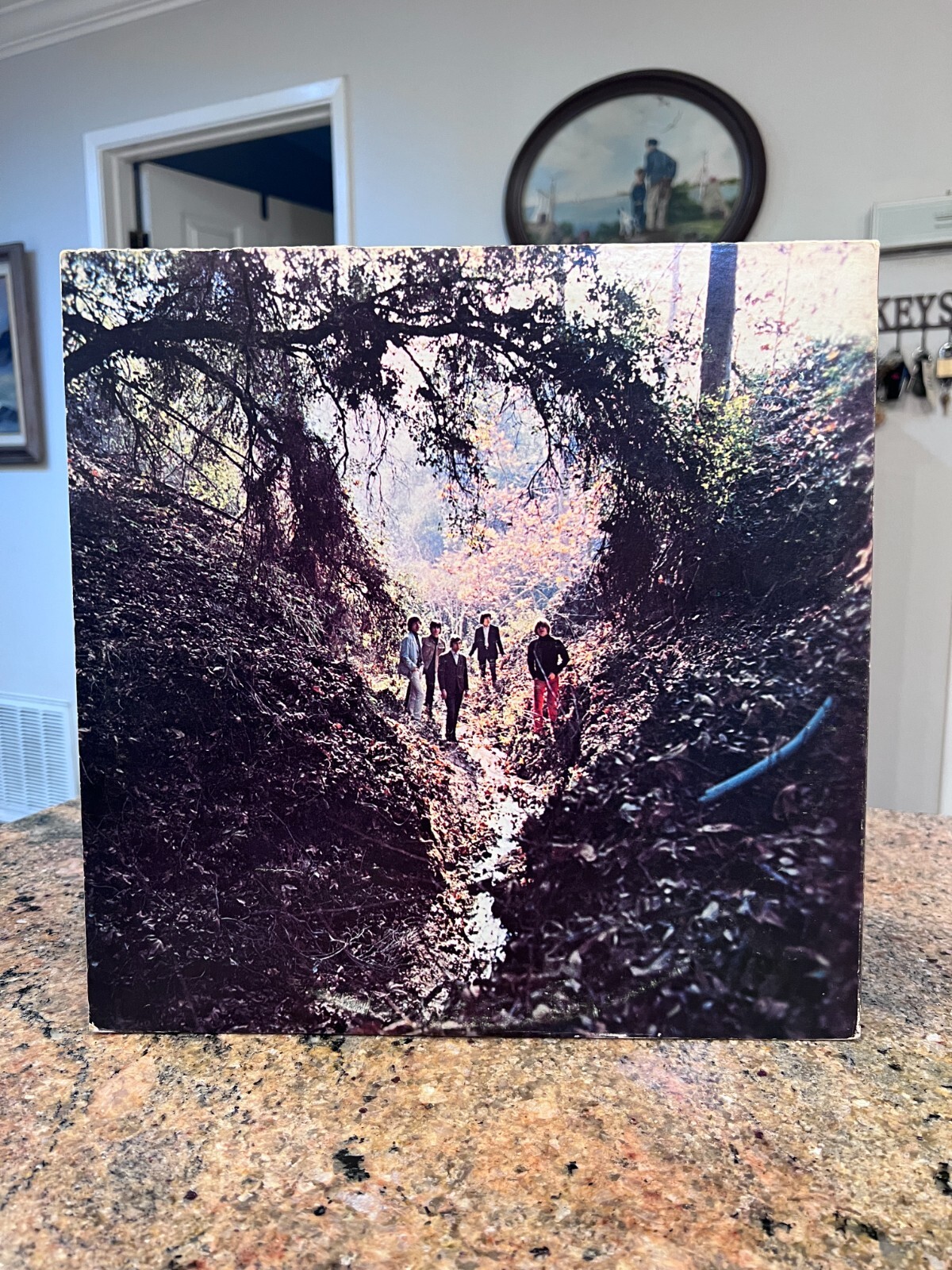 Picture 2 of 16