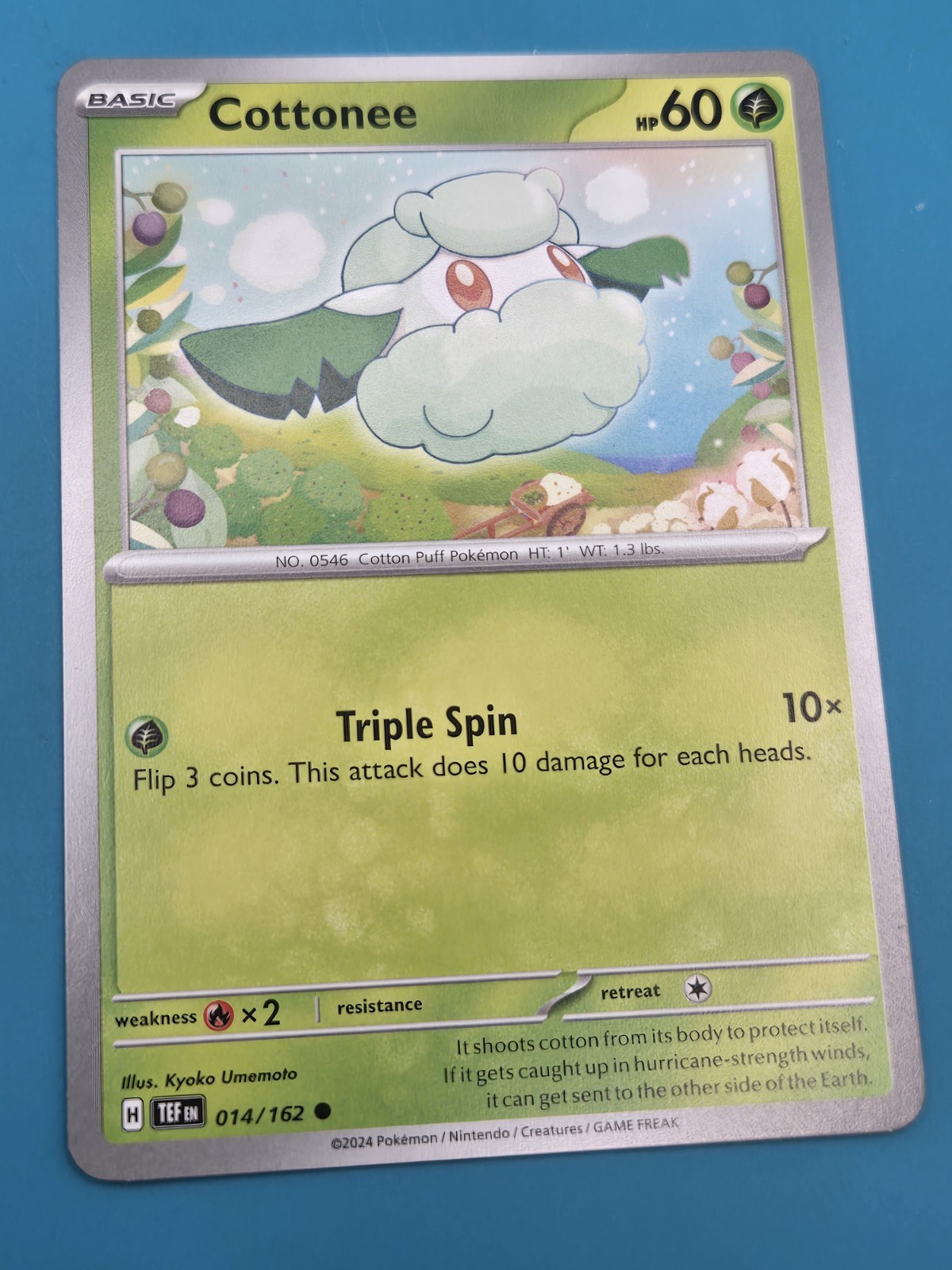 Cottonee Pokemon TCG Card 014/162 Regular NM
