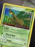 Pokémon Tropius 2005 EX Deoxys 27/107 Reverse Holo Rare Card TCG English Stamped