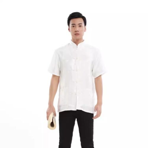 Men Short Sleeve Shirt Satin Dragon Blouse Chinese Performance Costumes Kung Fu - Picture 11 of 16