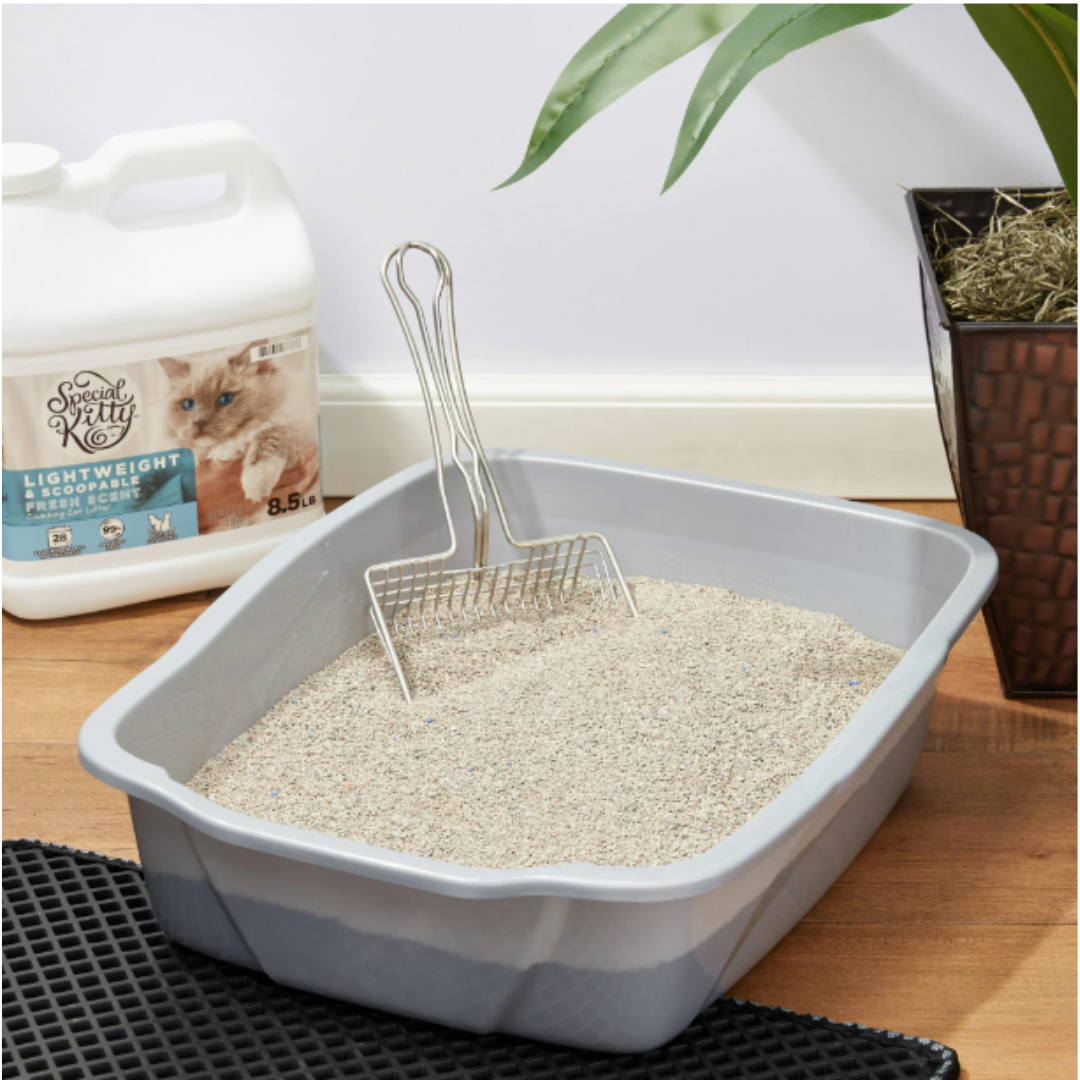 Special Kitty Lightweight Scoopable Clumping Cat Litter, Fresh