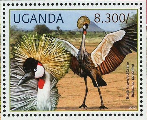 Endangered Species Black Crowned Crane African Golden Cat Caracal S/S MNH #2804 - Picture 12 of 12