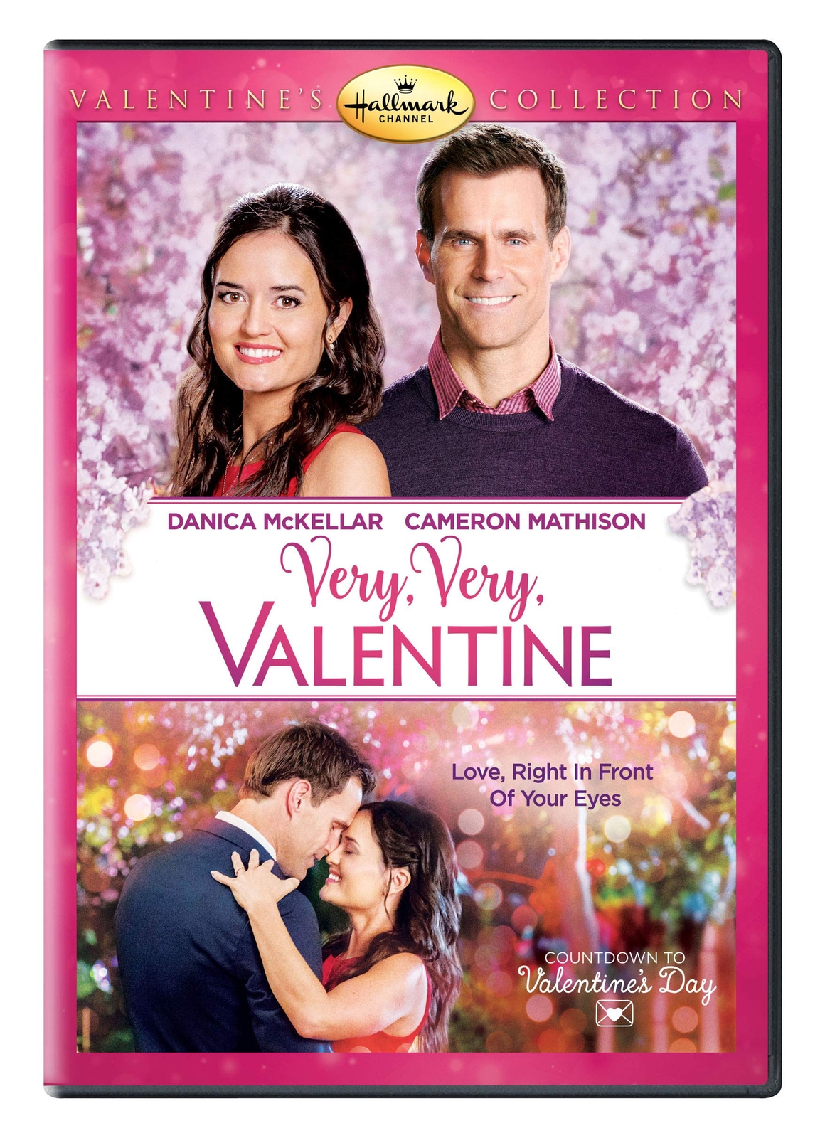 Very, Very, Valentine (DVD) Danica McKellar Cameron Mathison