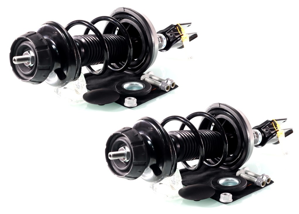 2x Juego completo de amortiguadores muelle delantero para Renault Twingo II 2007 - solo 1.2