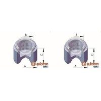 2X Autofren 54Mm Kolben Bremssattel Vorne Passend FüR Ford Consul Granada