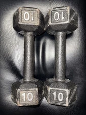 Dumbbells 10 Lb. Lot Of 2 Expensive Brand Workout Gear Equipment Weight Loss