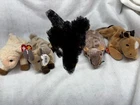 Vintage retired beanie babies set of five.