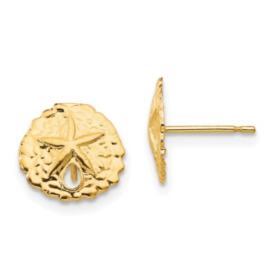 14 Karat Gelbgold Sand Dollar Ohrstecker Geschenk für Mutter