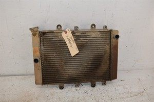 2017 Yamaha Grizzly 700 EPS 4WD Radiator B16-E2460-00-00