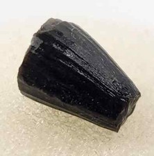 Jurassic Morrison Crocodile 0.44