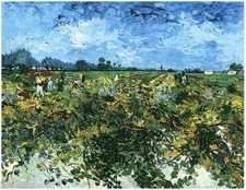 Handmade Oil Painting repro Van Gogh The Green Vineyard