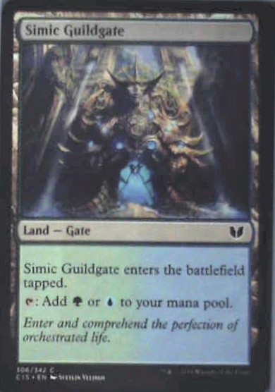 Simic Guildgate - Commander 2015: #306, Magic: The Gathering Nm C257
