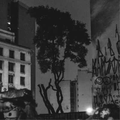 Manuel Pessoa de Lima Realejo (Vinyl) 12'' Album (Clear vinyl)