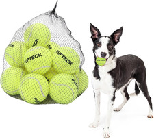 PUPTECK Squeaky Tennis Balls for Dogs, 2.5" Training Bouncy Ball Toys 12 Packs f