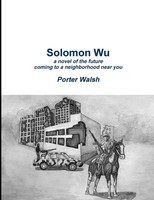 Solomon Wu Porter Walsh Taschenbuch Kartoniert / Broschiert Englisch 2016