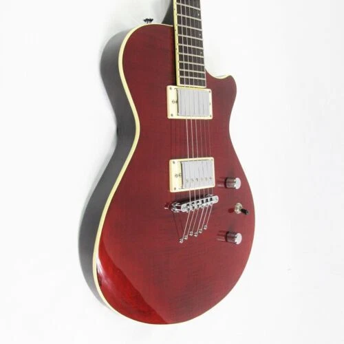 Guitarras eléctricas Breedlove