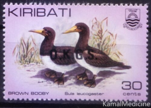 Kiribati 1983 MNH OKGS OVP, Brown Booby, Water Birds [D17] - Photo 1/1