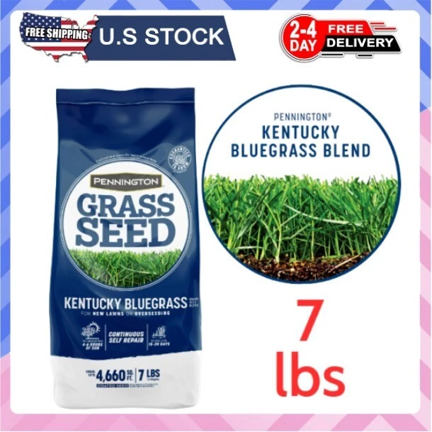 Kentucky Bluegrass Seed