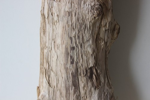 Madera flotante Driftwood 1 XXL tronco decoración manualidades 86 cm - Imagen 6 de 13