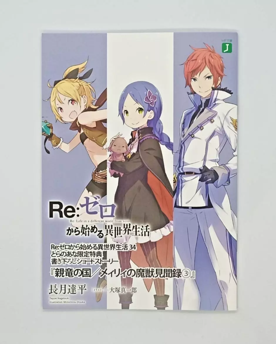 Re:Zero Light Novel Volume 3  Anime, Anime images, Japanese anime