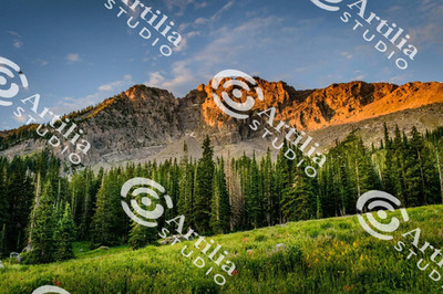 Digital Image Picture Photo Wallpaper Background Desktop AI Art Sample Product