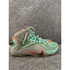 Nike LeBron 12 NSRL - 684593-301 for Sale | Authenticity  display picture 1