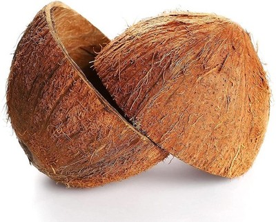 COCONUT SHELL HALVES Natural pure Best coconut Shell