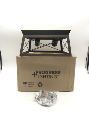 Progress Lighting Briarwood Collection 2-Light Antique Bronze Kitchen Farmhouse