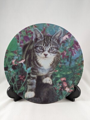 Katzenteller King Of The Castle' The Crestley Collection süß D19cm